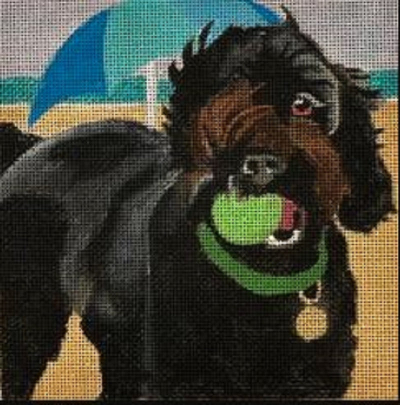 Needlepoint Handpainted Melissa Prince Beach Happy DOG 6x6
