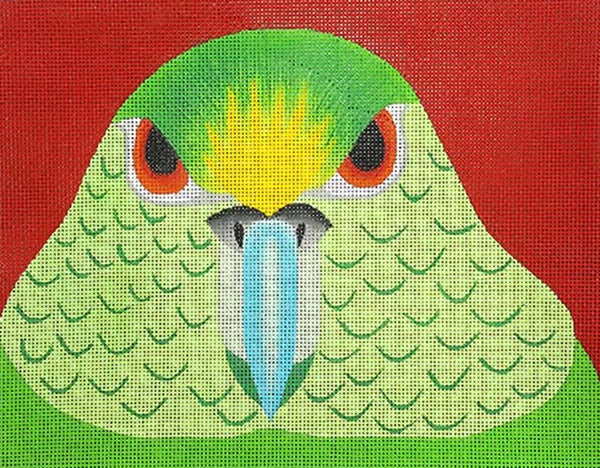 Needlepoint Handpainted Zecca Parakeet aka African Parrot 9x7