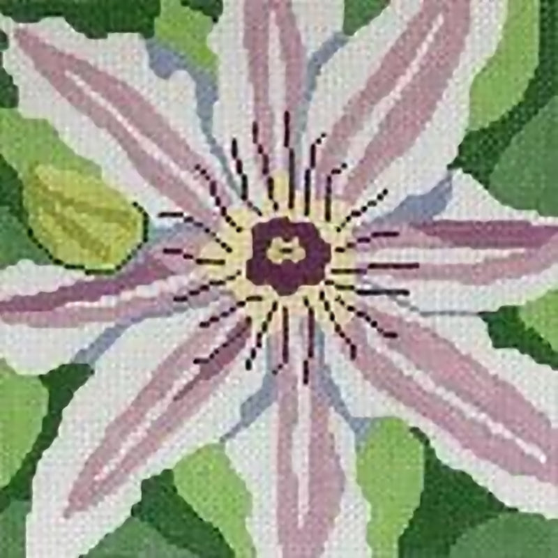Needlepoint Handpainted Jean Smith Summer Clematis 8x8
